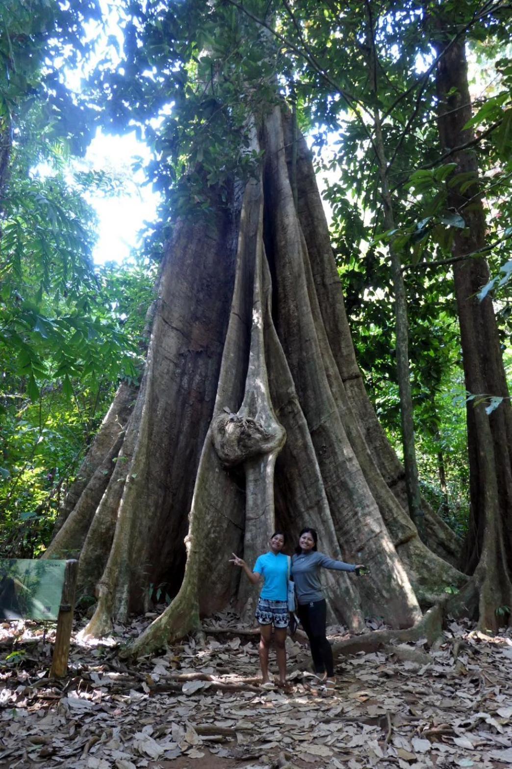 Ban Tha Ton Do Koh Yao Noi Ko Yao Noi Exterior foto